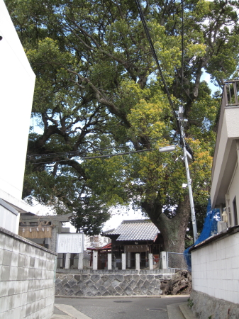 20100326araekushida1.jpg