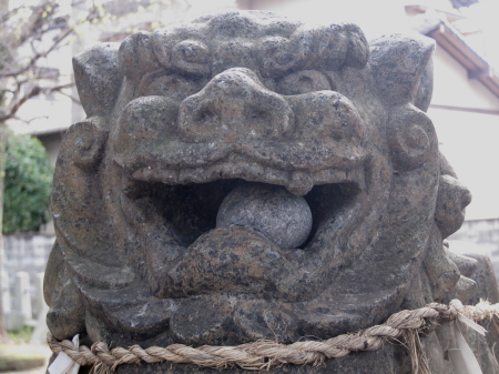 20100326araekushida4.jpg