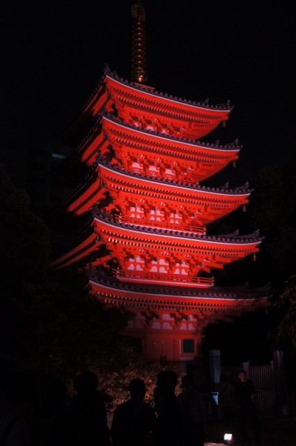 2013東長寺ライトアップ2_1.jpg