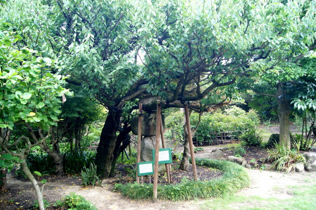 20140820宮崎兄弟生家4_1.jpg