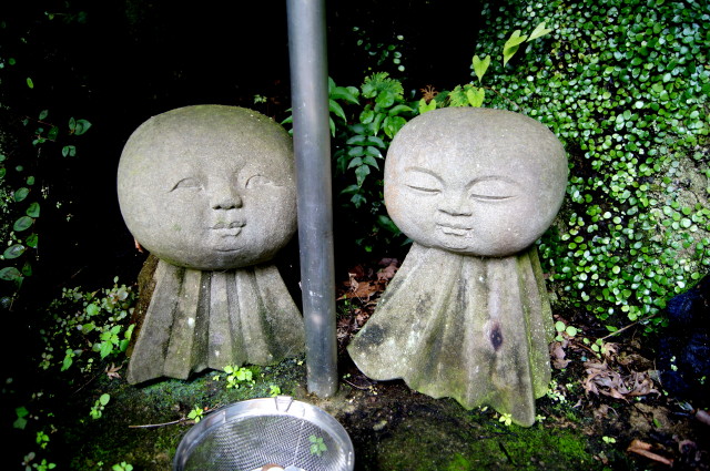 20140902南蔵院で3_1.jpg