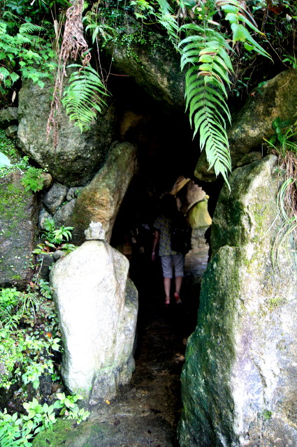20140902南蔵院で4_1.jpg