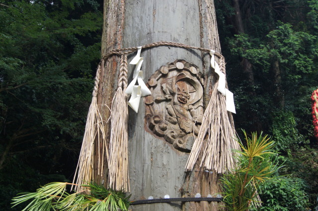 20140902南蔵院で5_1.jpg