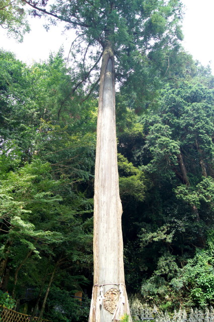 20140902南蔵院で6_1.jpg