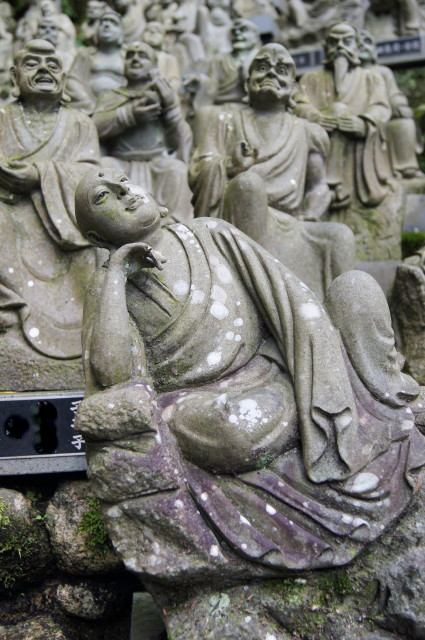 20140902南蔵院で7_1.jpg
