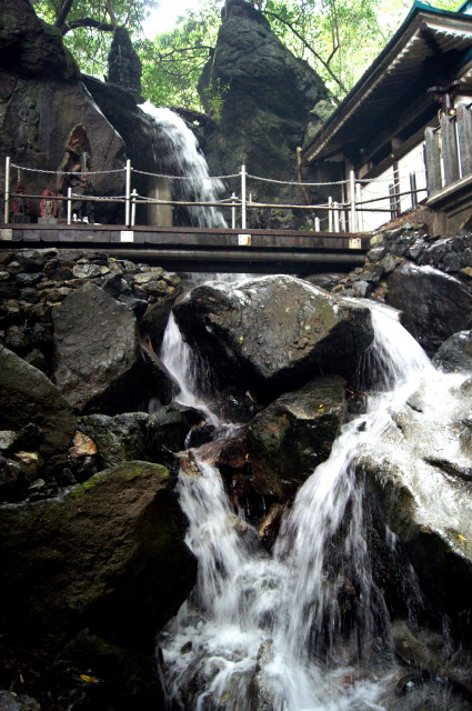 20140902南蔵院1_1.jpg