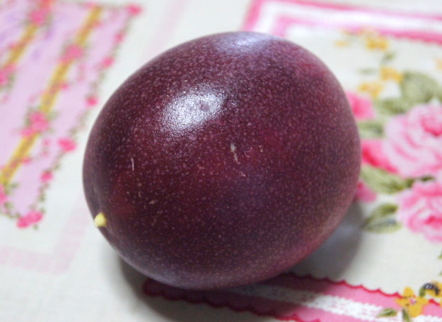2014パッションフルーツ_1_1.jpg