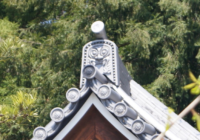 2014朝倉11_1_1.jpg