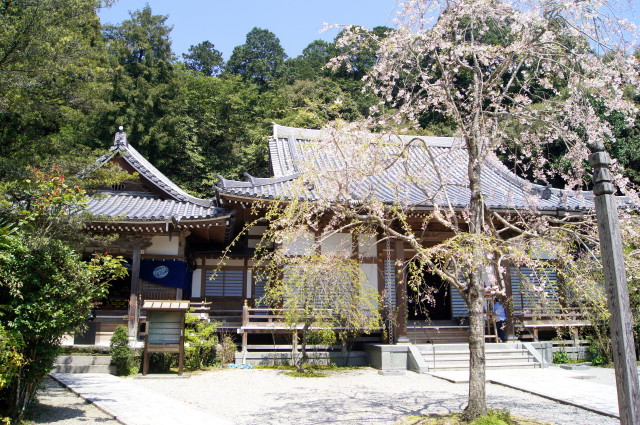 2014朝倉7_1.jpg