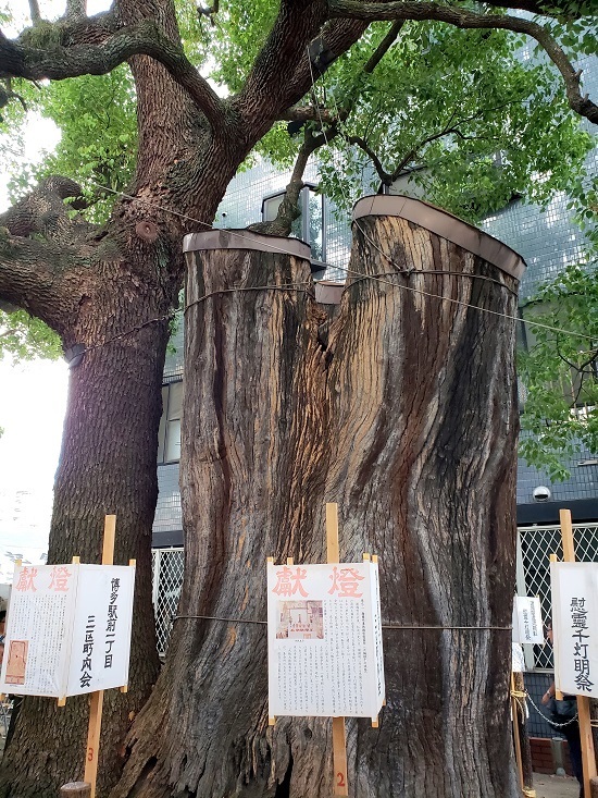 20180821_175446 - コピー.jpg