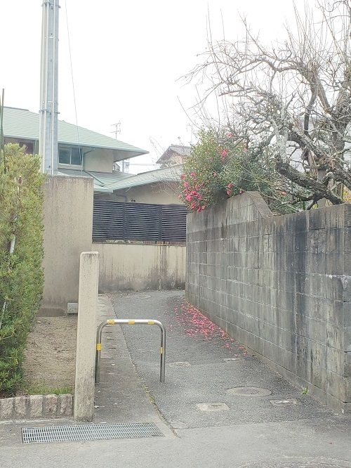 20190115_143924 - コピー.jpg