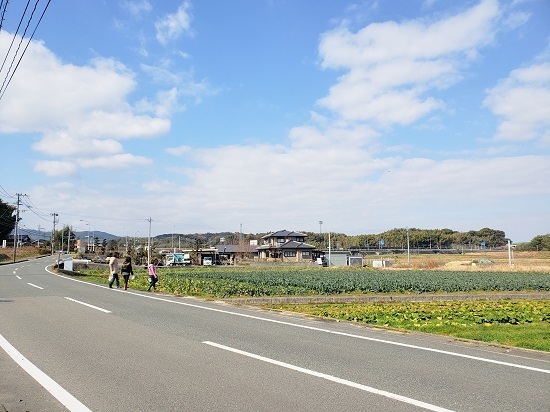 20190202_113806.jpg