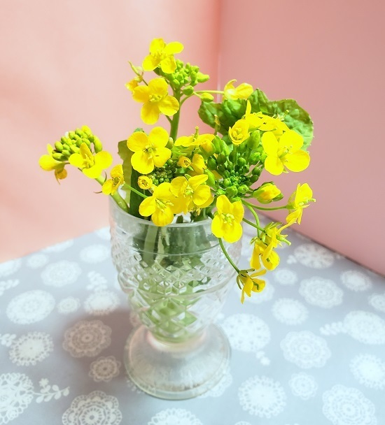20190202_150619.jpg