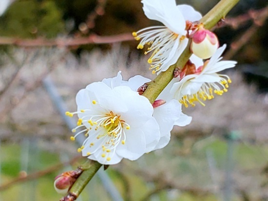 20190224_124846 - コピー.jpg