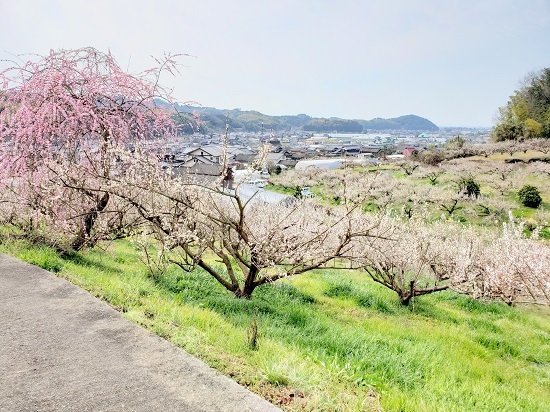 20190224_130928 - コピー.jpg