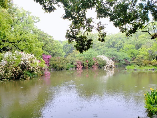 20190430_154408 - コピー.jpg