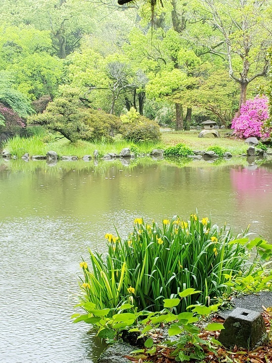 20190430_154450 - コピー.jpg