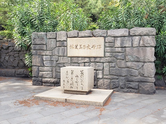 20190504_145618 - コピー.jpg