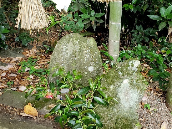 20190527_111446 - コピー.jpg