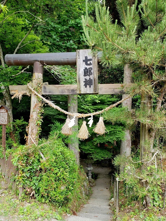 20190527_114553 - コピー.jpg