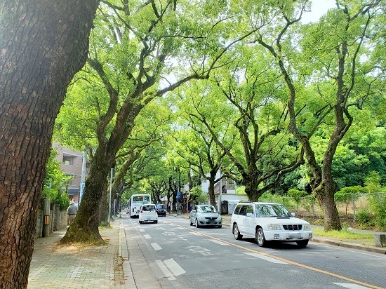 20190604_093327 - コピー.jpg