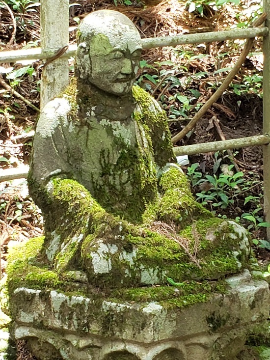 20190613_112208 - コピー.jpg