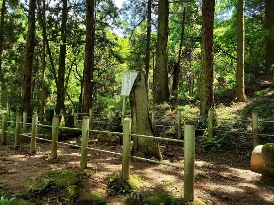 20190613_112329 - コピー.jpg