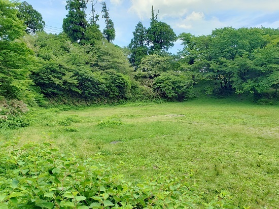 20190613_123303 - コピー.jpg