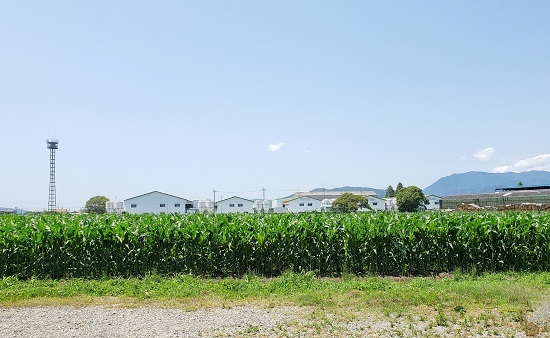 20190617_132720 - コピー.jpg