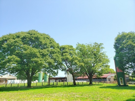 20190617_140946 - コピー.jpg