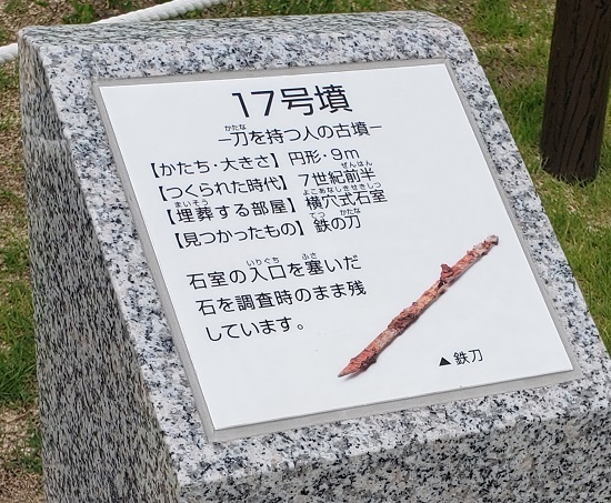 20190726_142437 - コピー.jpg