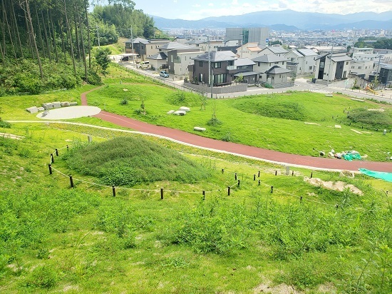20190726_143432 - コピー.jpg