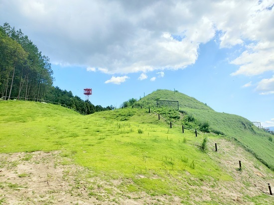 20190726_143704 - コピー.jpg