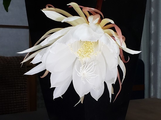 20191023_202257 - コピー.jpg