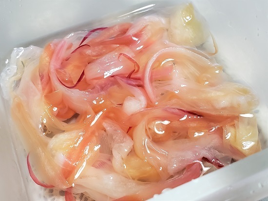 20191024_135727 - コピー.jpg