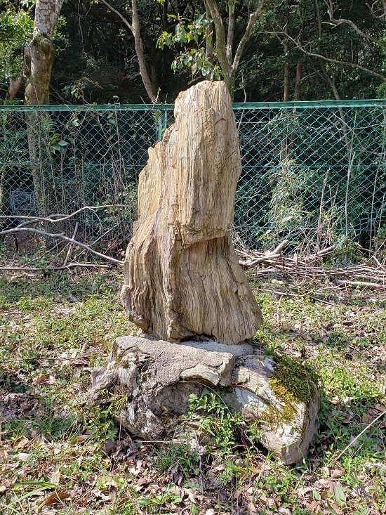 20200318_115718 - コピー.jpg