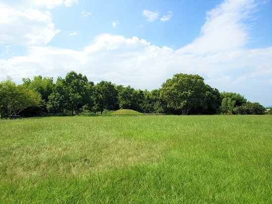 20200825_143308 - コピー.jpg