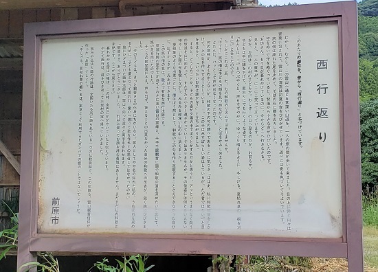 20200825_145011 - コピー.jpg