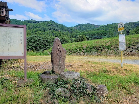20200825_145025 - コピー.jpg