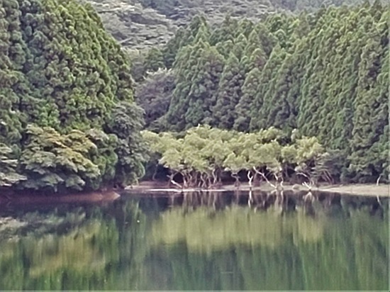 20200825_155207 - コピー.jpg