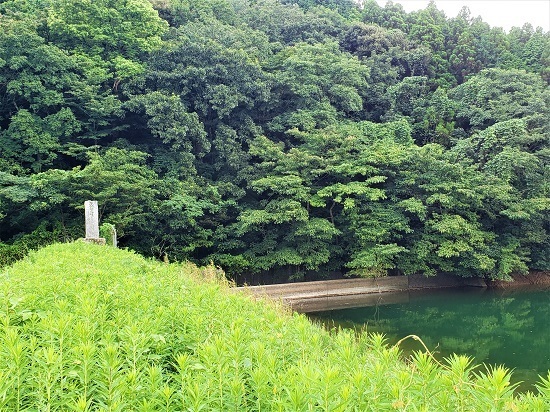 20200825_155235 - コピー.jpg