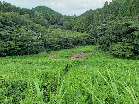 20200825_155340 - コピー.jpg