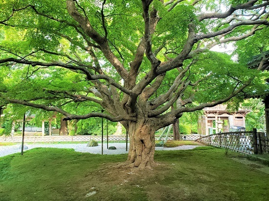 20200825_162316 - コピー.jpg