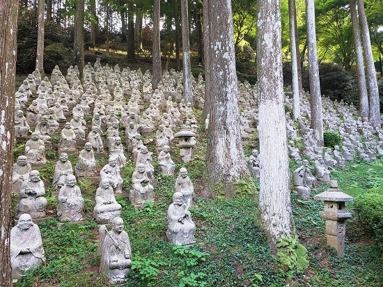 20200825_165252 - コピー.jpg