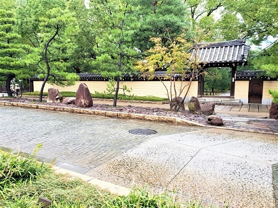 20200918_103429 - コピー.jpg
