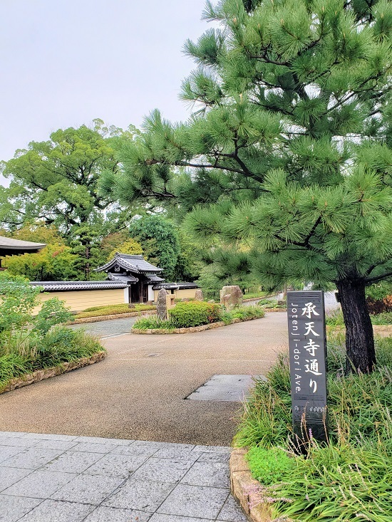 20200918_103613 - コピー.jpg