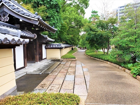20200918_122132 - コピー.jpg