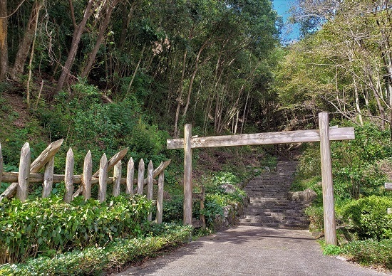 20201009_120512 - コピー.jpg