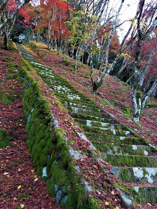 20201124_165316 - コピー.jpg