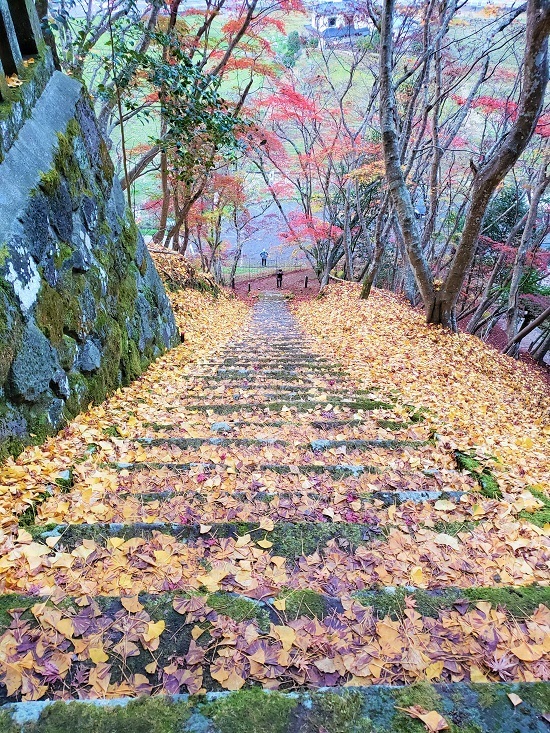 20201124_170358 - コピー.jpg